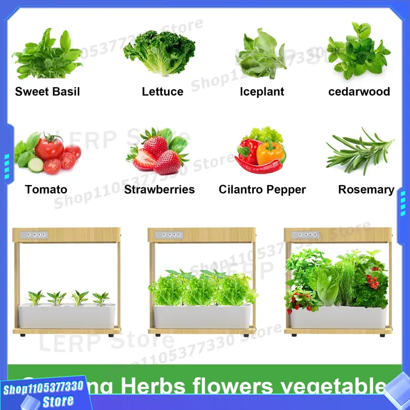IGS-05 Smart Hydroponic Garden - đánh giá và giá Indoor Herb Garden Kit