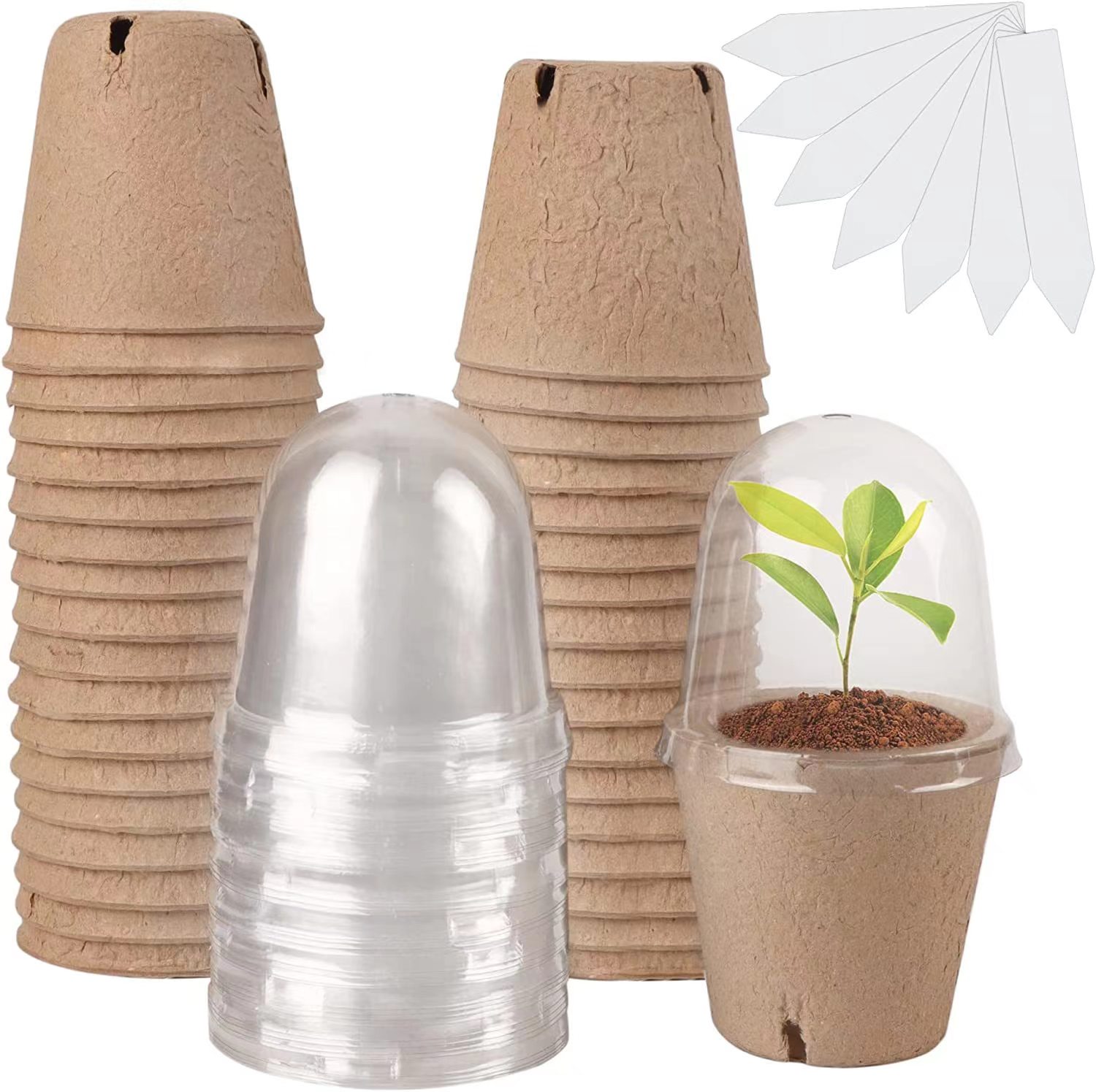 Seed Starter Biodegradable Pea - đánh giá và giá Indoor Herb Garden Kit