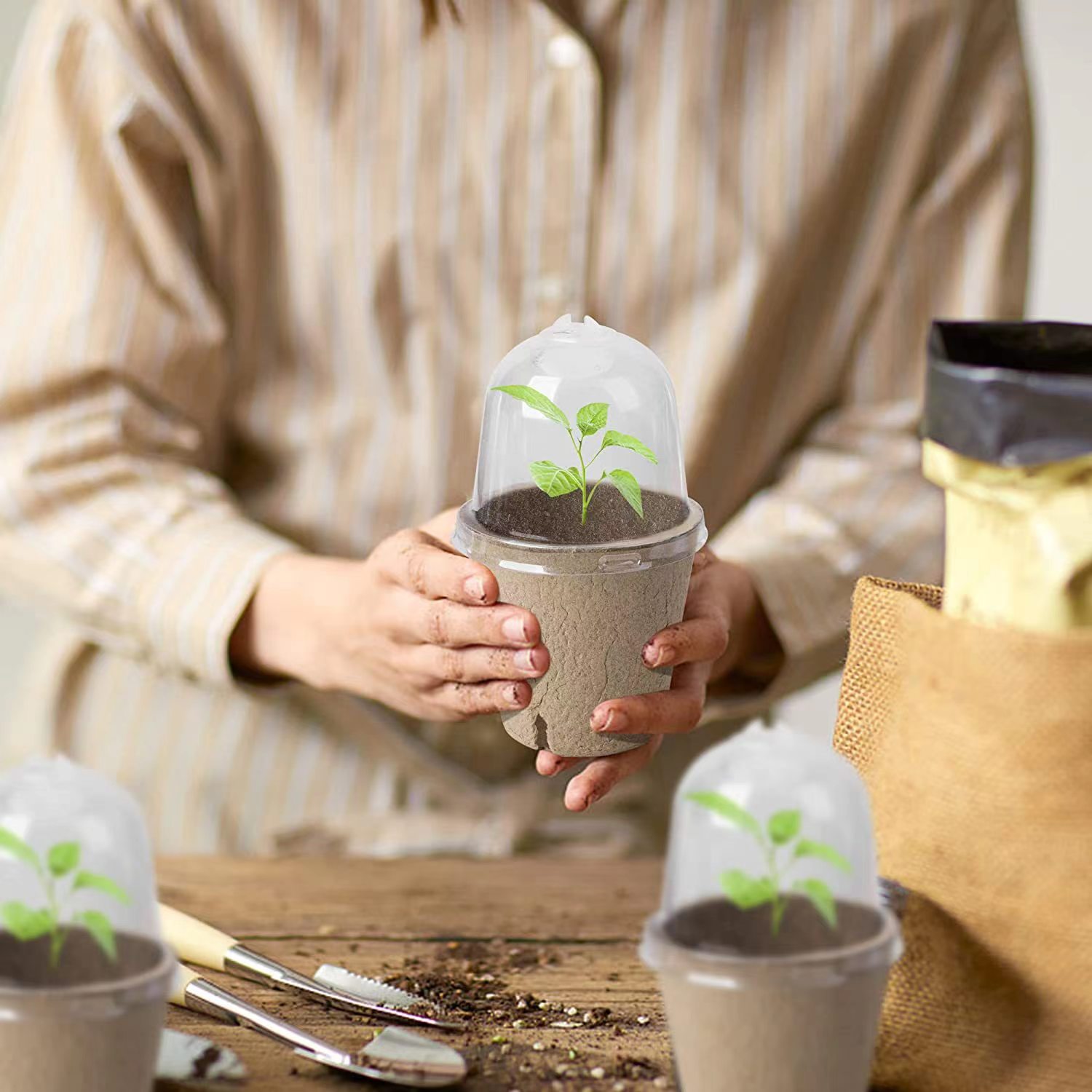 Seed Starter Biodegradable Pea - đánh giá và giá Indoor Herb Garden Kit