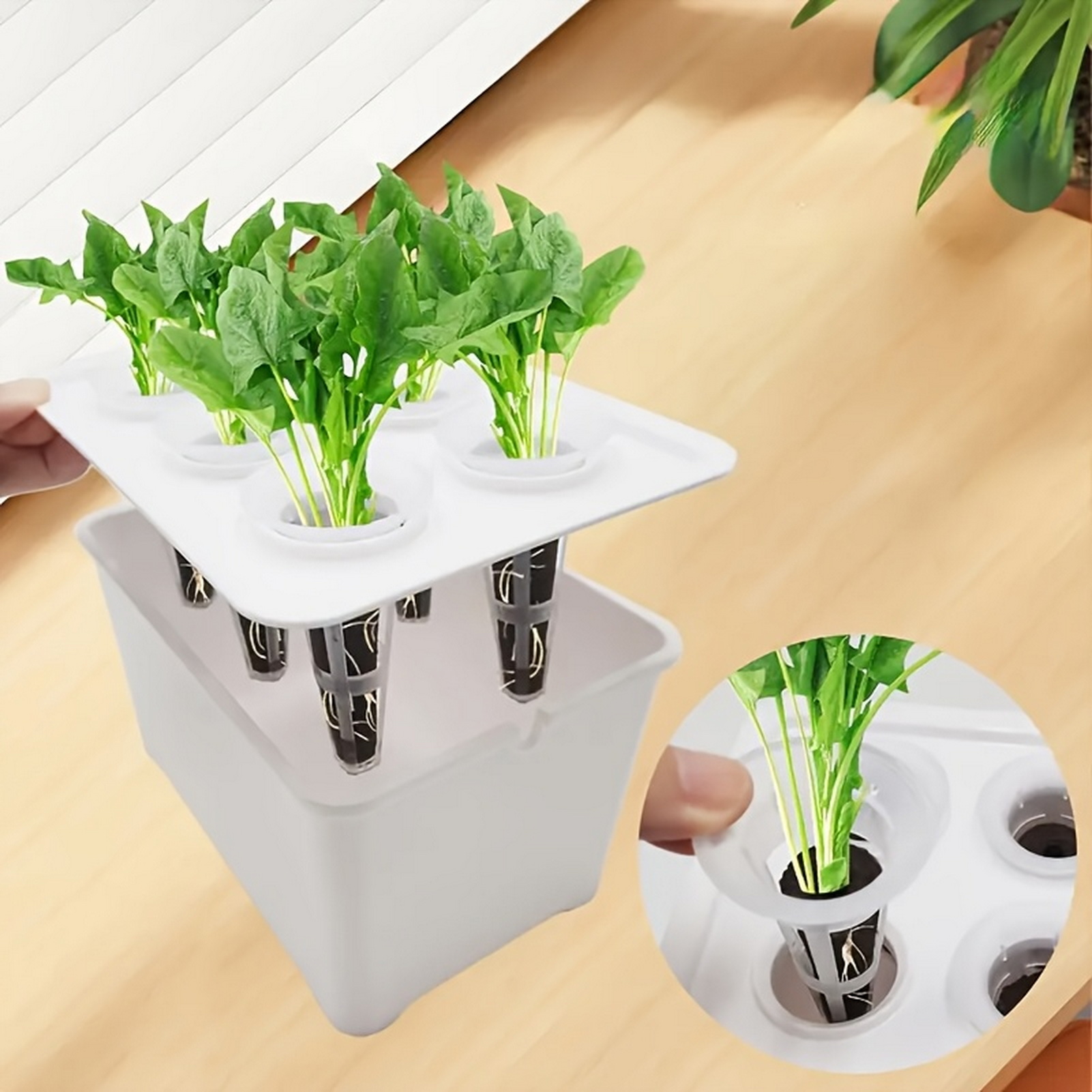 6 in 1 Hydroponic Nursery Pots - đánh giá và giá Indoor Herb Garden Kit