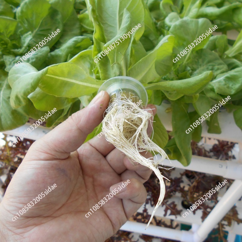 3-Layer Hydroponics Growing Sy - đánh giá và giá Indoor Herb Garden Kit
