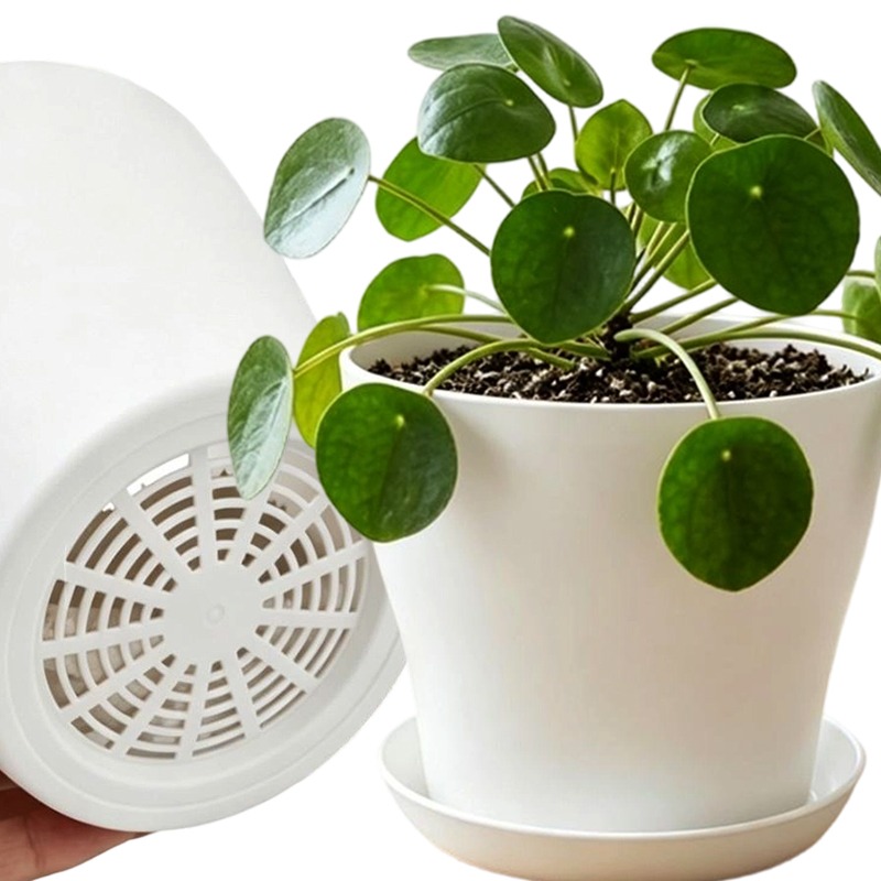 Plant Pot Set with Drainage Ho - đánh giá và giá Indoor Herb Garden Kit
