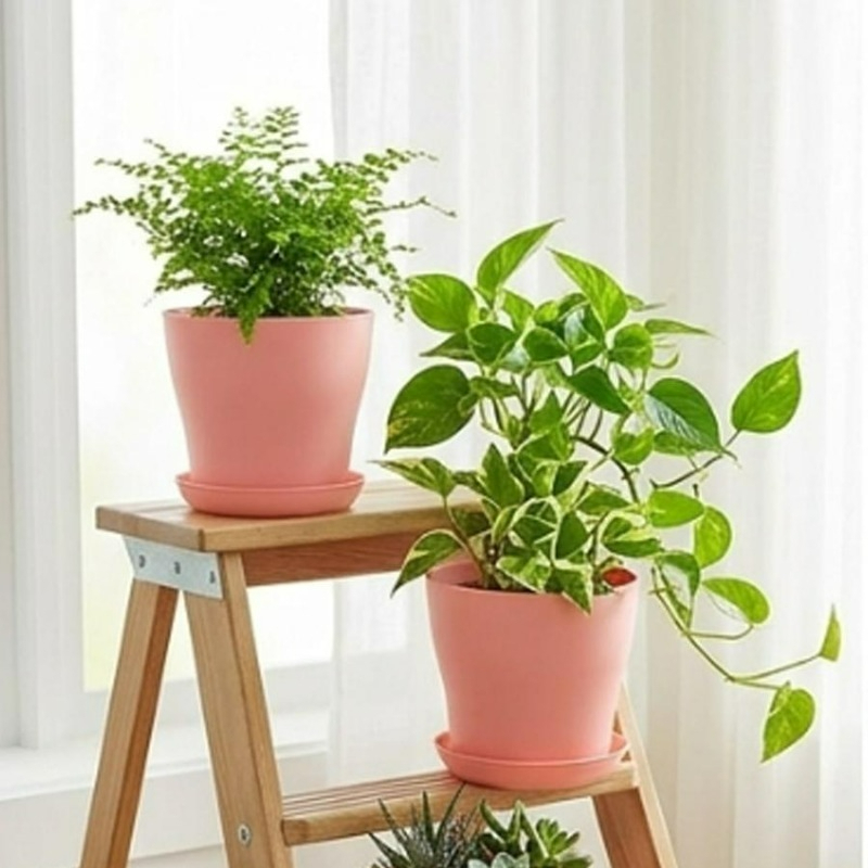 Plant Pot Set with Drainage Ho - đánh giá và giá Indoor Herb Garden Kit